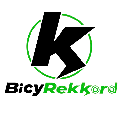 Bicyrekkord